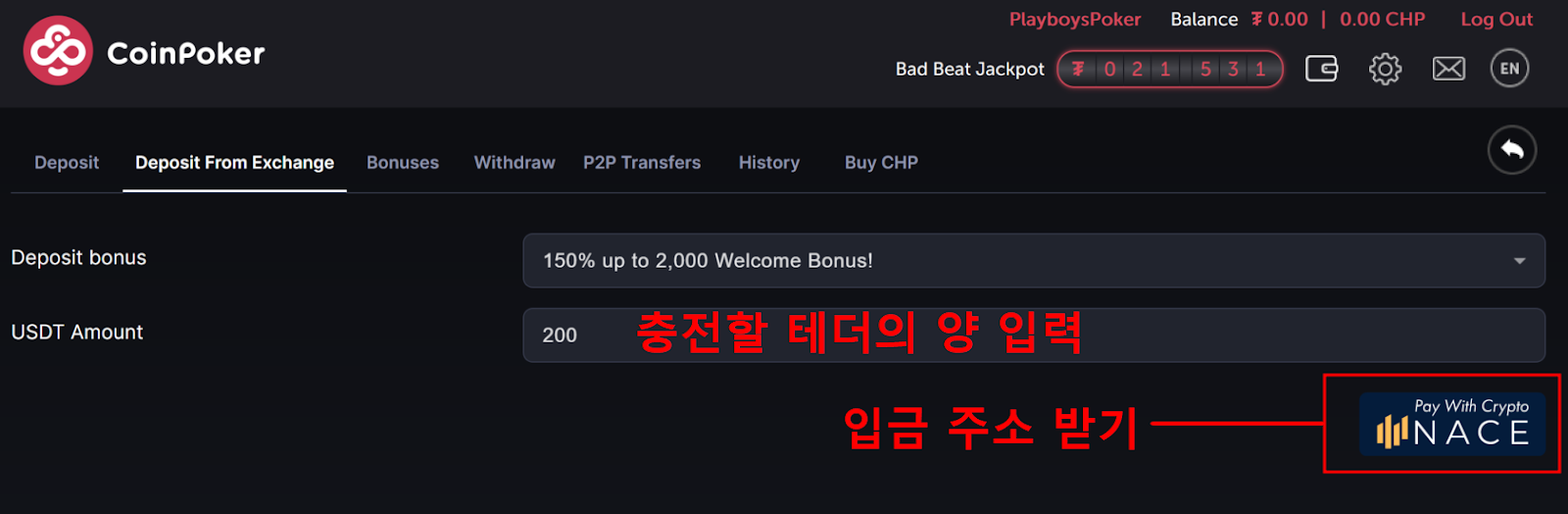 USDT 금액 입력 및 NACE 클릭